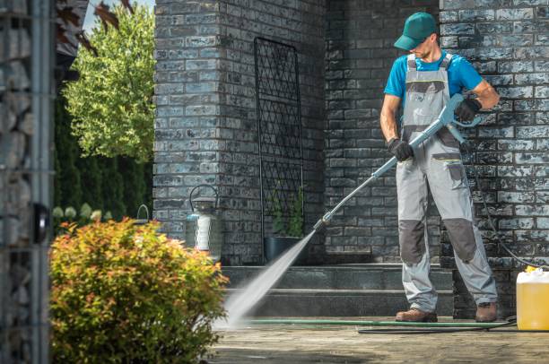 Best Roof Cleaning and Mildew Removal in Milton, NY