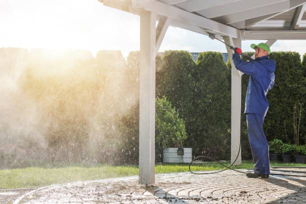 Best Soft Washing for Delicate Surfaces in Milton, NY